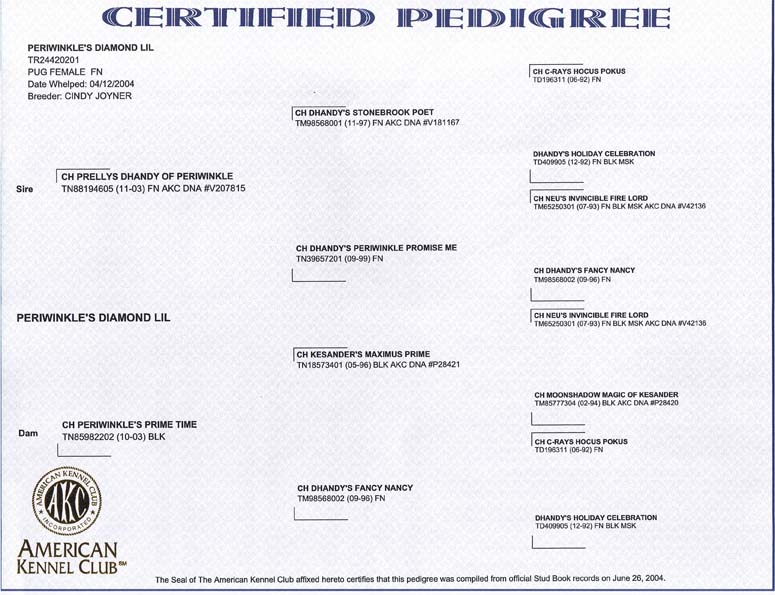 Lily's Pedigree